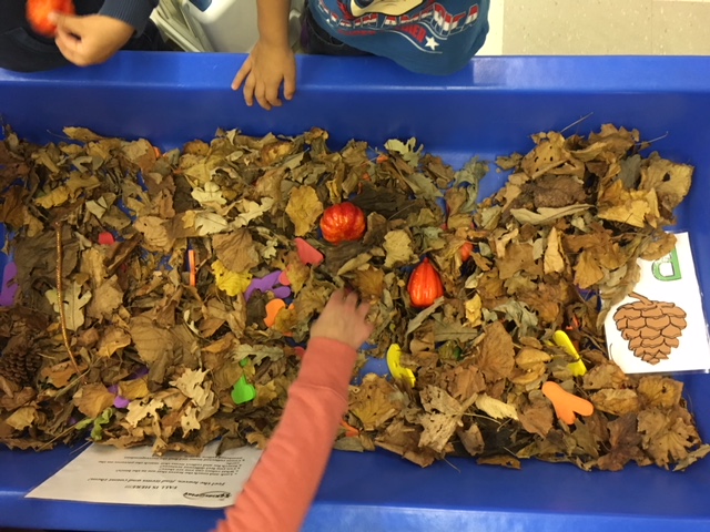 pumkins-and-letters-in-leaves.jpg